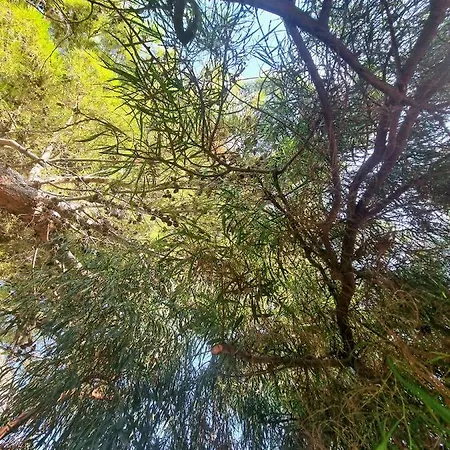 Fronte Su Tre Piani Con Giardino *